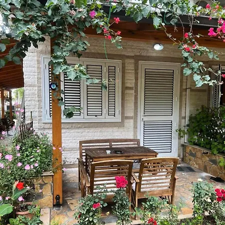 Guest Angolo Toscano