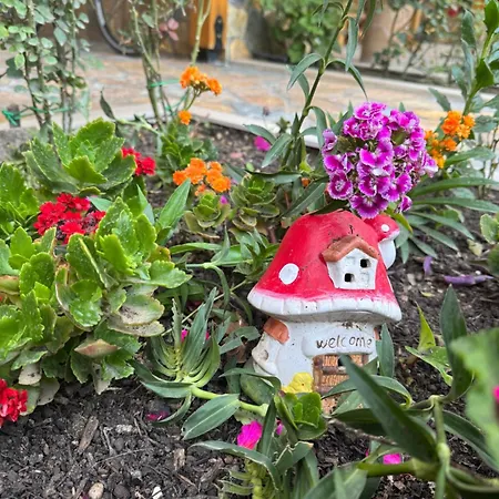 Guest Angolo Toscano 3*