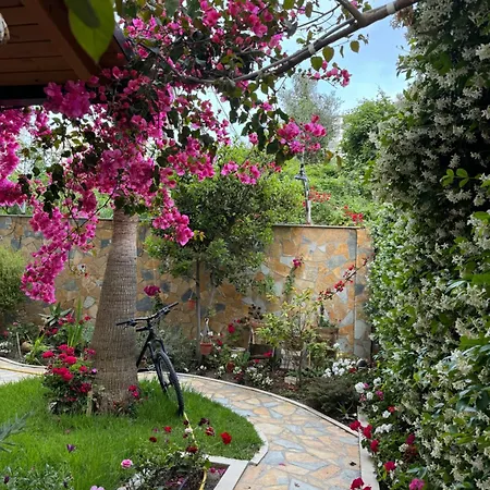 Guest house Guest Angolo Toscano 3*