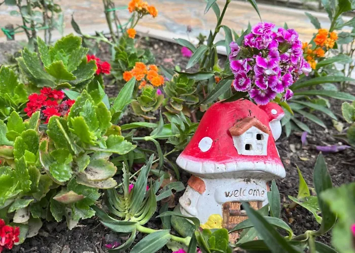 Guest Angolo Toscano 3*