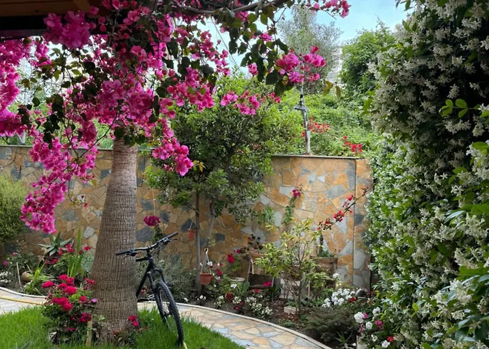 招待所 Guest Angolo Toscano 3*